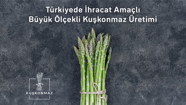 Kampanya Fotoğrafı